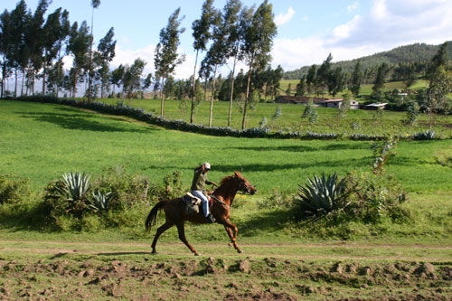 Kolonialer Haciendas - Ritt