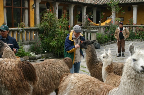 Kolonialer Haciendas - Ritt