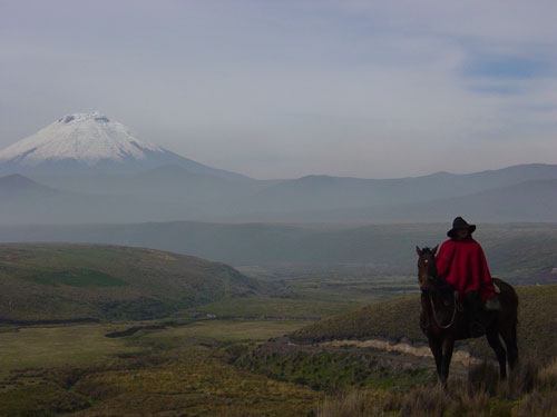 Vulkan Panorama Trail