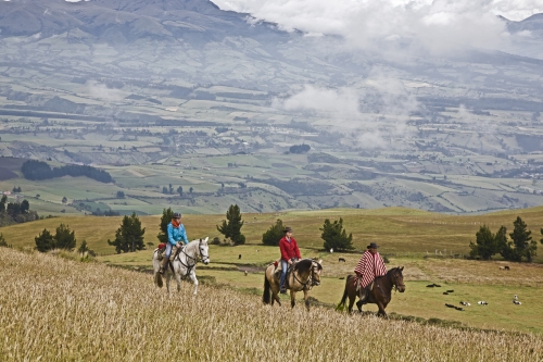 Vulkan Panorama Trail