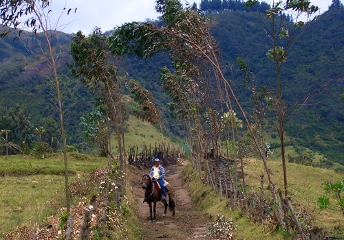 Otavalo-Ritt - Hacienda Cusin