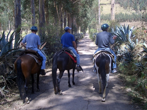 Otavalo-Ritt - Hacienda Cusin