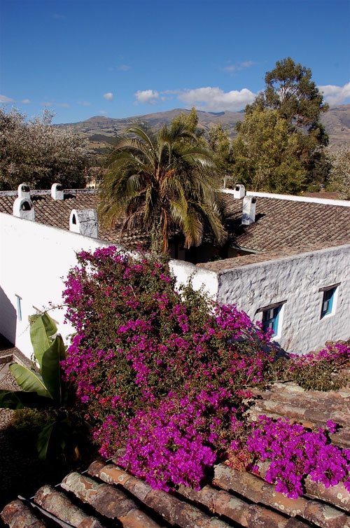 Otavalo-Ritt - Hacienda Cusin