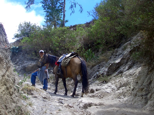 Otavalo-Ritt - Hacienda Cusin