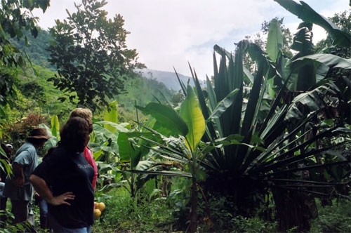 Anden und Nebelwald Hacienda