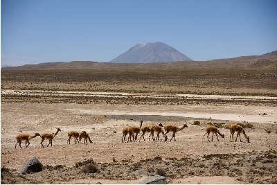 Reittour durch das Colca-Tal