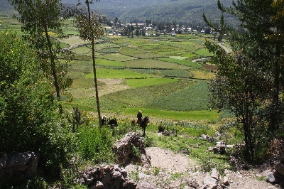 Reittour durch das Colca-Tal