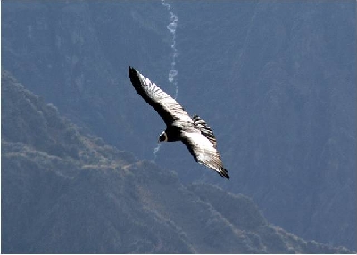 Reittour durch das Colca-Tal