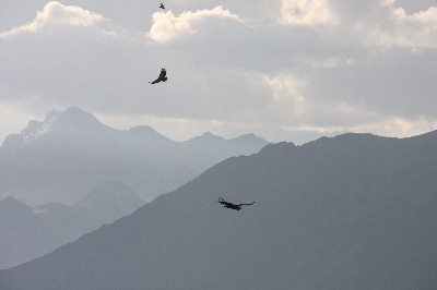 Reittour durch das Colca-Tal