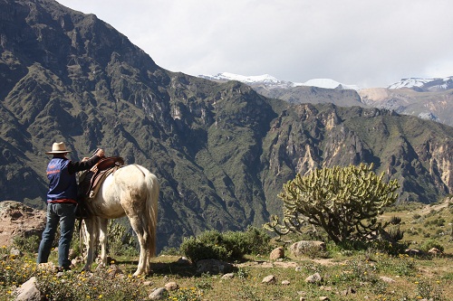 Colca Canyon & Titicaca-See