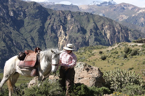 Colca Canyon & Titicaca-See