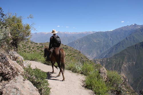 Colca Canyon & Titicaca-See