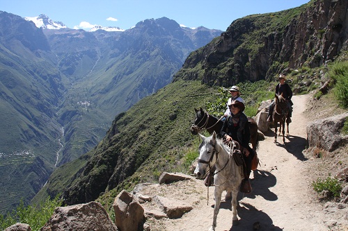 Colca Canyon & Titicaca-See