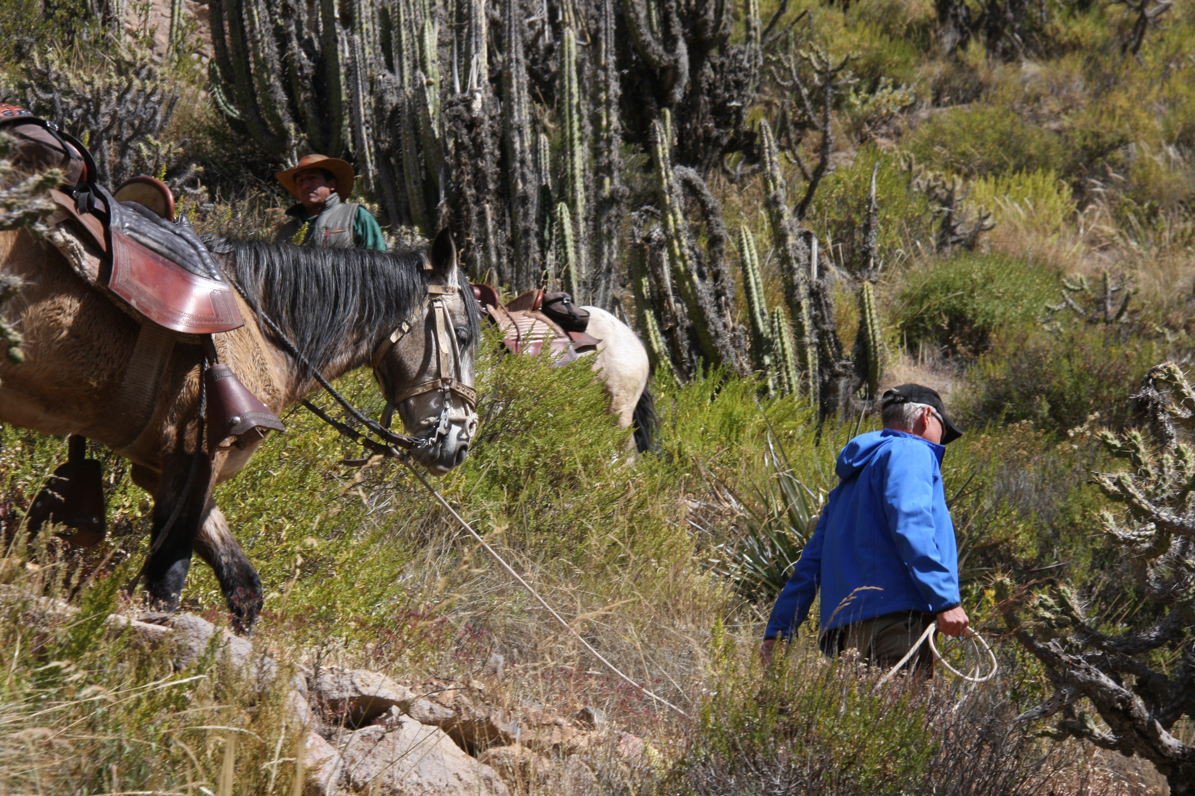 Colca Canyon & Titicaca-See