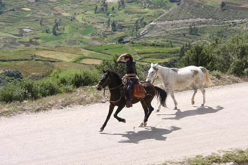 Colca Canyon & Titicaca-See