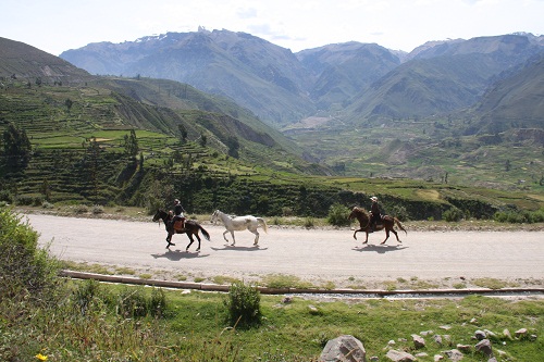 Colca Canyon & Titicaca-See