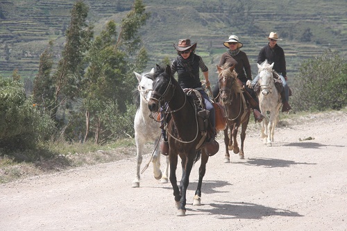 Colca Canyon & Titicaca-See