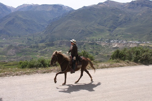 Colca Canyon & Titicaca-See