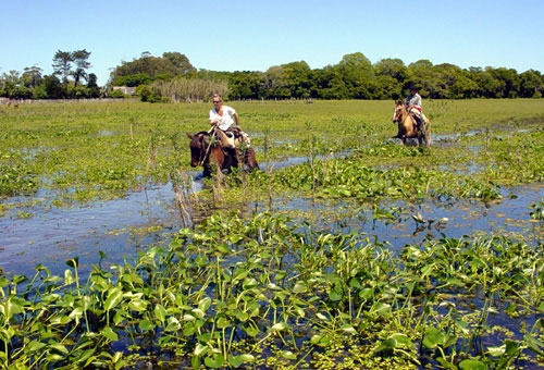 Laguna Negra Estancias-Ritt