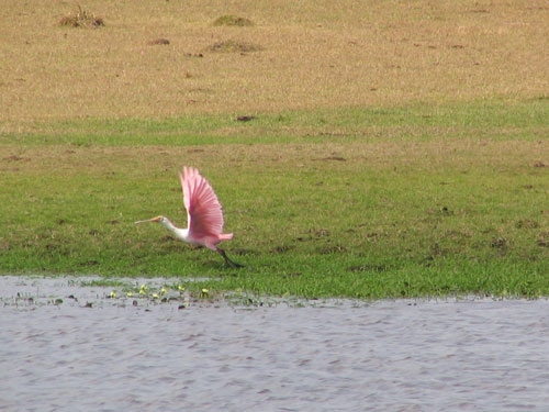 Laguna Negra Estancias-Ritt