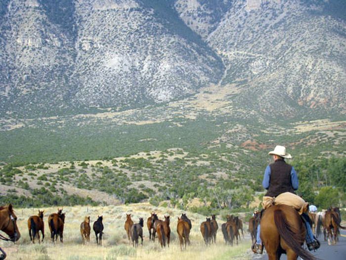 Dryhead Ranch Cattle Drives