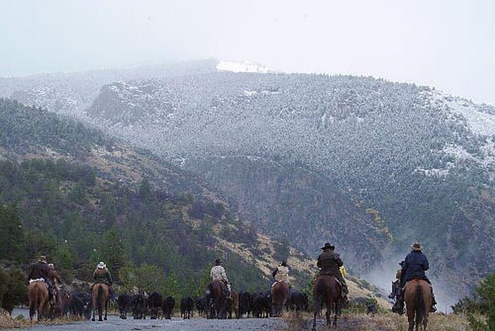 Dryhead Ranch Cattle Drives