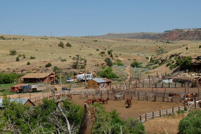 Dryhead Ranch Cattle Drives