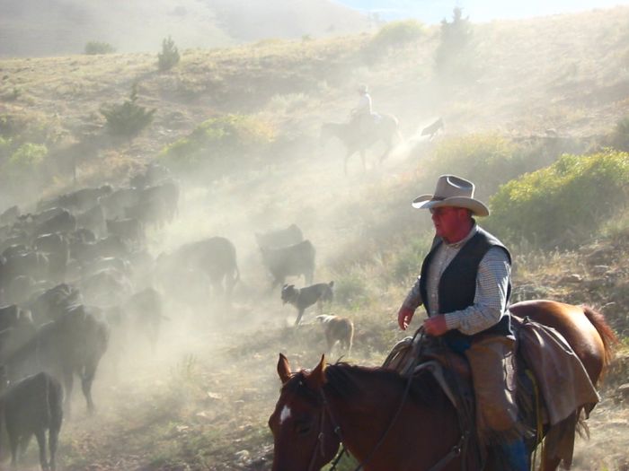 Dryhead Ranch Cattle Drives