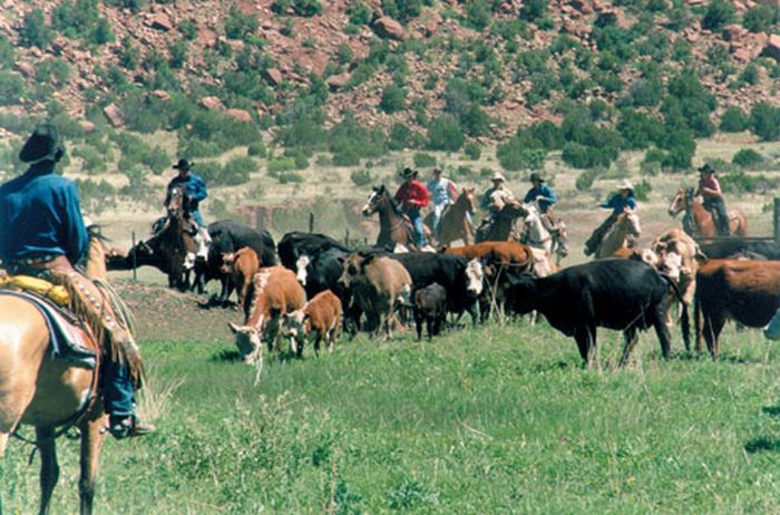 Two Creek Cattle Ranch