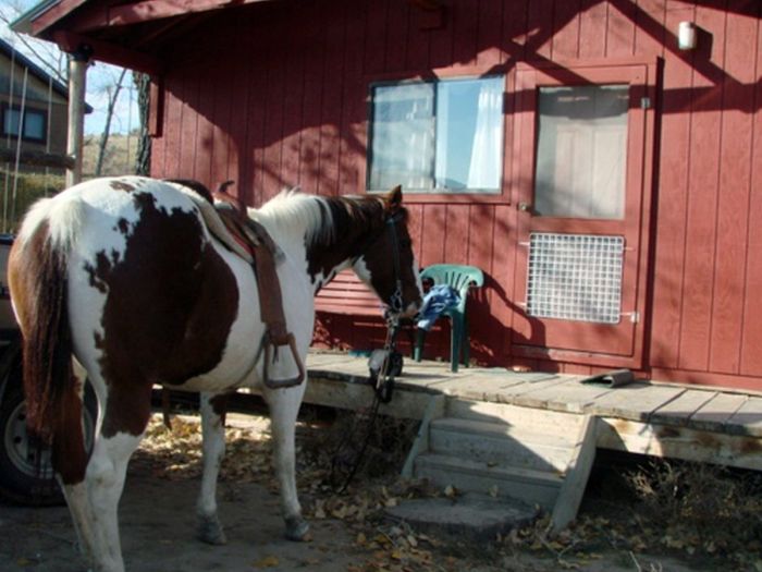 Two Creek Cattle Ranch