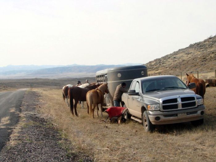 Two Creek Cattle Ranch