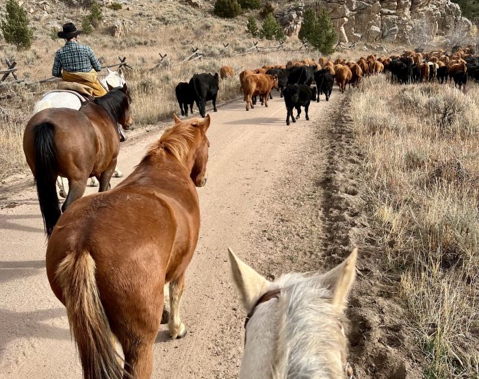 Two Creek Cattle Ranch