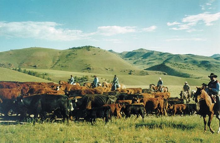 Two Creek Cattle Ranch