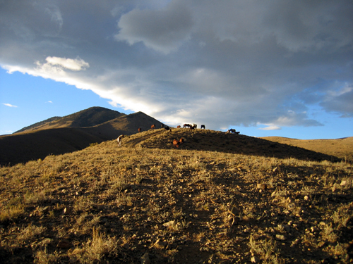 Medicine Lodge Horse Drive