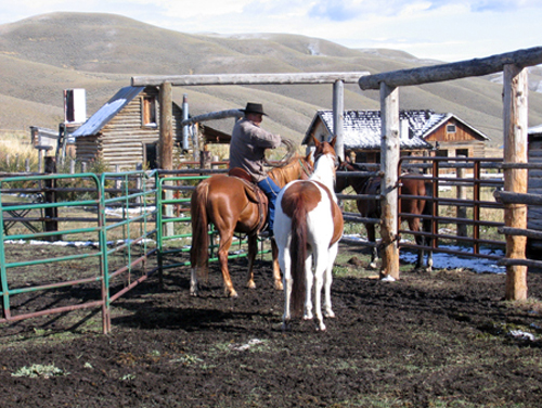 Medicine Lodge Horse Drive