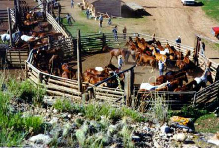 Dryhead Ranch Horse Drives