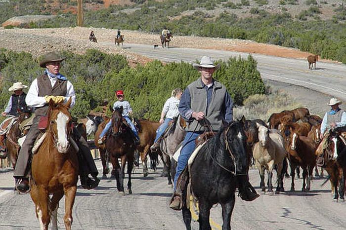 Dryhead Ranch Horse Drives