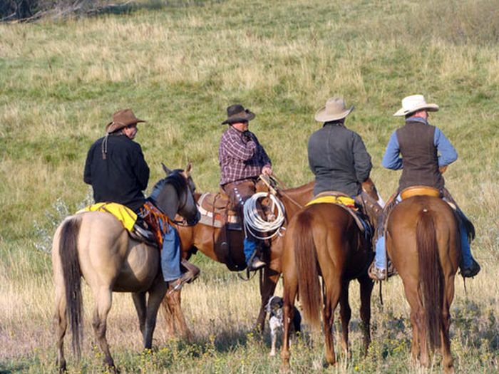 Dryhead Ranch Horse Drives