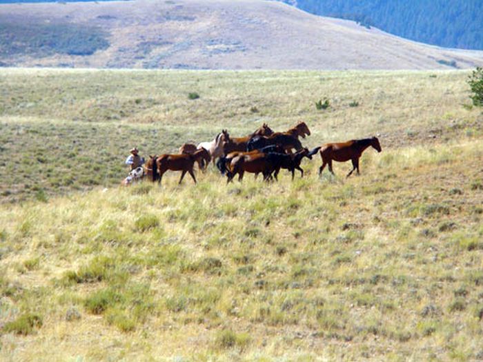 Dryhead Ranch Horse Drives