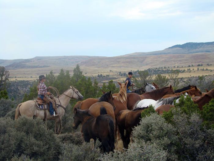 Dryhead Ranch Horse Drives