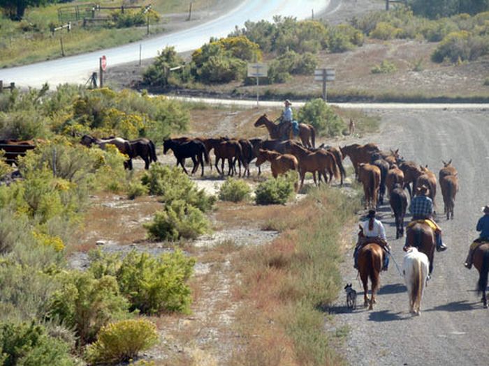 Dryhead Ranch Horse Drives