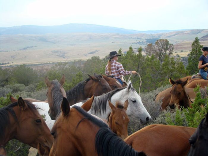 Dryhead Ranch Horse Drives