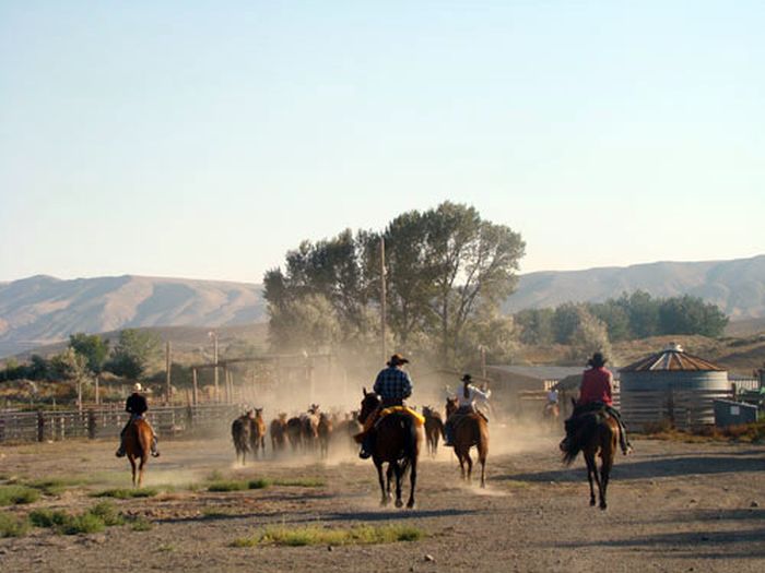 Dryhead Ranch Horse Drives