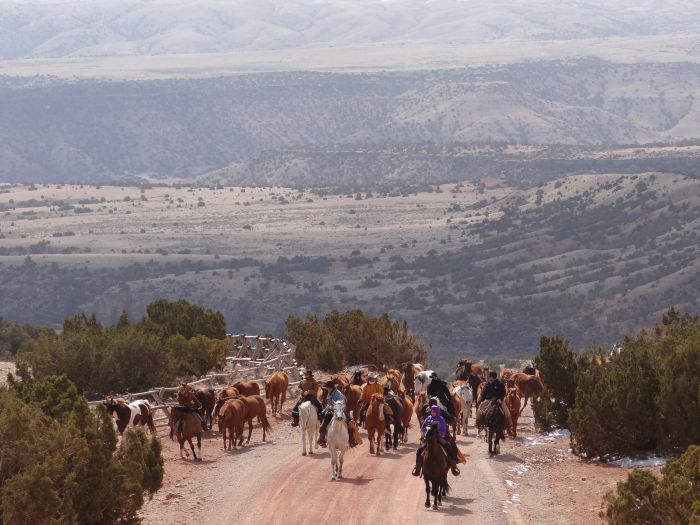 Dryhead Ranch Horse Drives