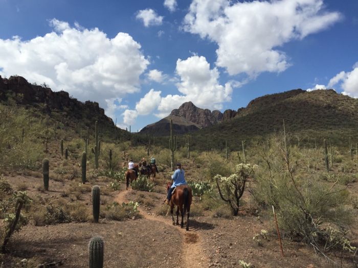 White Stallion Ranch