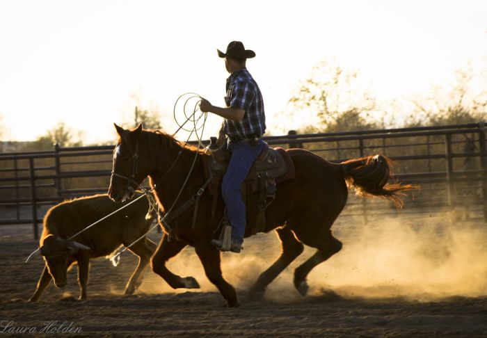 White Stallion Ranch