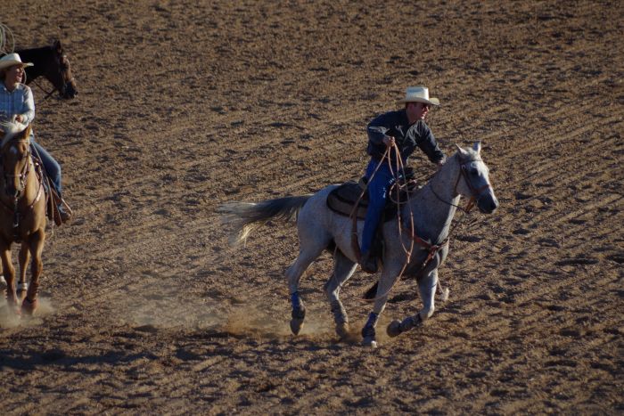 White Stallion Ranch