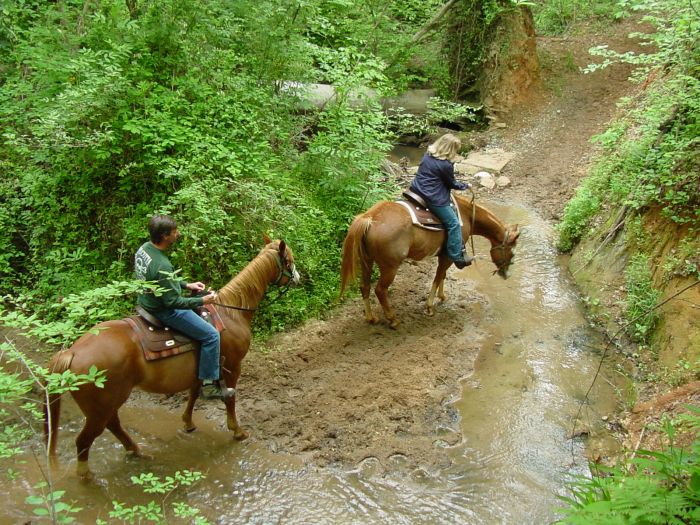 Heartland of Georgia Ranch