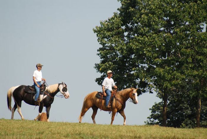 Heartland of Georgia Ranch