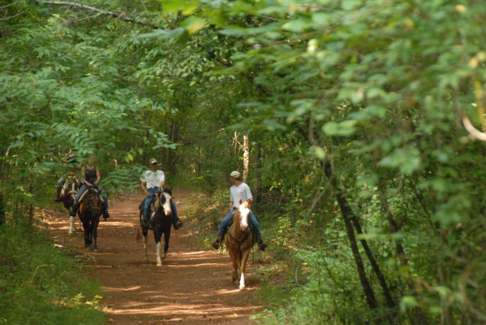 Heartland of Georgia Ranch